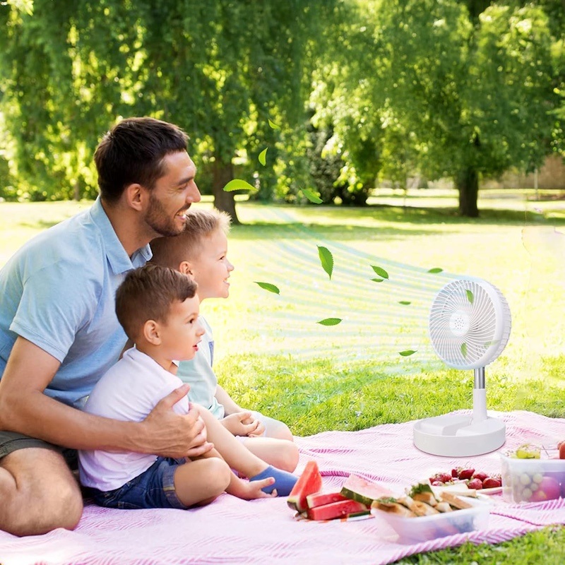 Аккумуляторный вентилятор E-Dream с телескопической ножкой