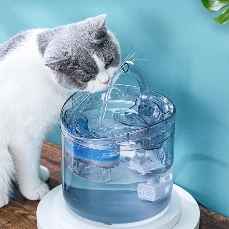 Прозрачный автоматический фонтан-поилка для кошек и собак